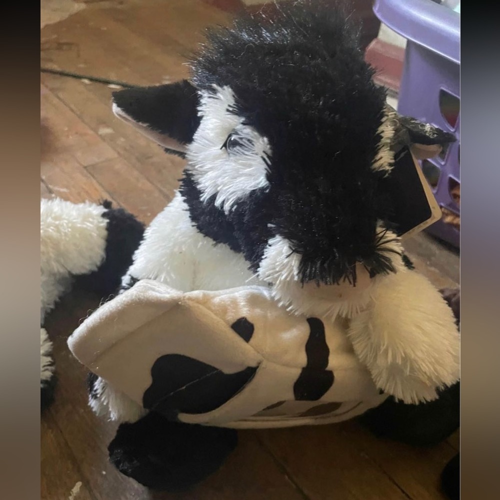 Random stuffed animals - Picture 2 of 10